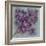 Twilight Cherry Blossoms I-null-Framed Premium Giclee Print