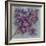 Twilight Cherry Blossoms I-null-Framed Premium Giclee Print