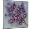 Twilight Cherry Blossoms II-null-Mounted Art Print