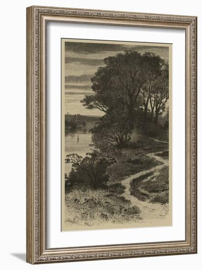 Twilight Grove II-Vision Studio-Framed Art Print