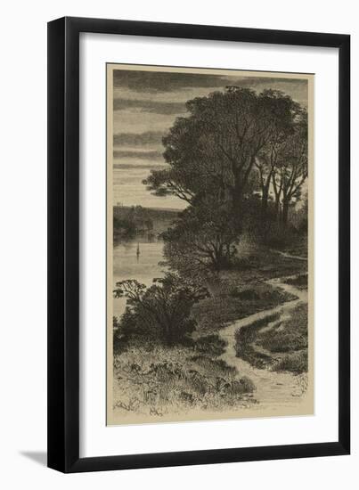 Twilight Grove II-Vision Studio-Framed Art Print