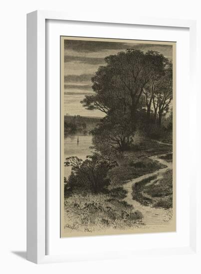 Twilight Grove II-Vision Studio-Framed Art Print