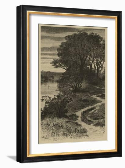 Twilight Grove II-Vision Studio-Framed Art Print