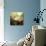 Twilight Hush-Irene Suchocki-Giclee Print displayed on a wall