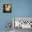 Twilight II-Simon Addyman-Framed Stretched Canvas displayed on a wall