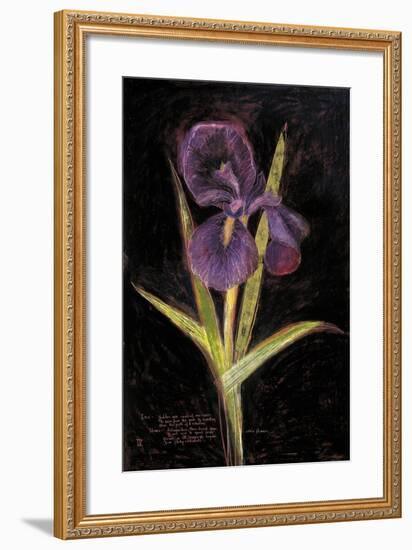 Twilight Iris-Maret Hensick-Framed Premium Giclee Print