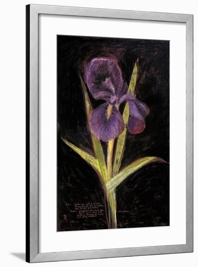 Twilight Iris-Maret Hensick-Framed Premium Giclee Print