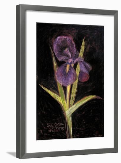 Twilight Iris-Maret Hensick-Framed Premium Giclee Print