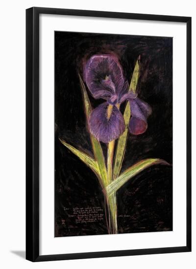 Twilight Iris-Maret Hensick-Framed Premium Giclee Print