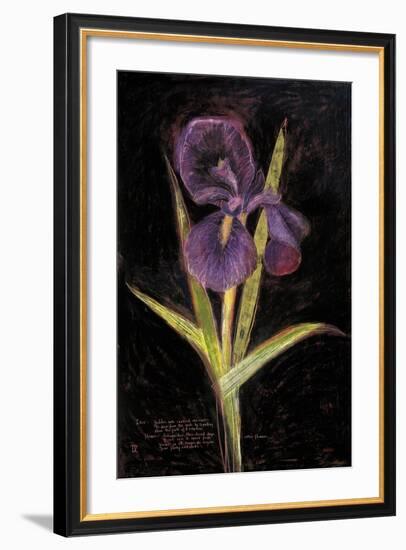 Twilight Iris-Maret Hensick-Framed Premium Giclee Print