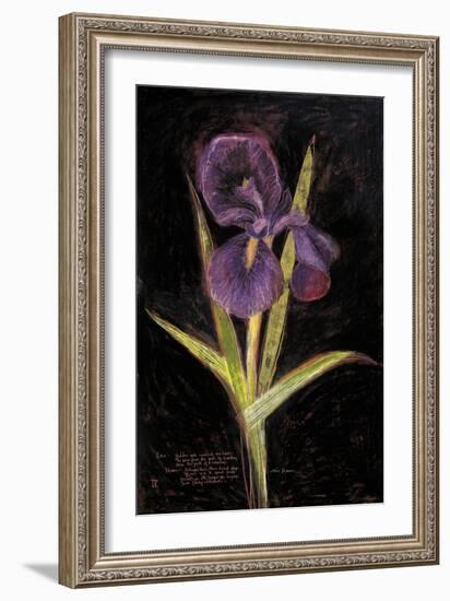 Twilight Iris-Maret Hensick-Framed Art Print