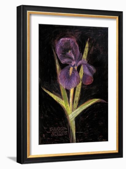 Twilight Iris-Maret Hensick-Framed Art Print