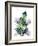 Twilight Palms III-Grace Popp-Framed Premium Giclee Print