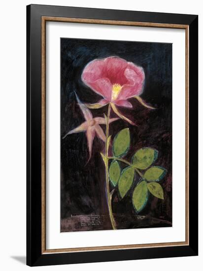 Twilight Rose-Maret Hensick-Framed Art Print