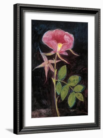 Twilight Rose-Maret Hensick-Framed Art Print