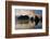 Twilight, Ruby Beach, Olympic National Park, Washington, USA-Michel Hersen-Framed Photographic Print