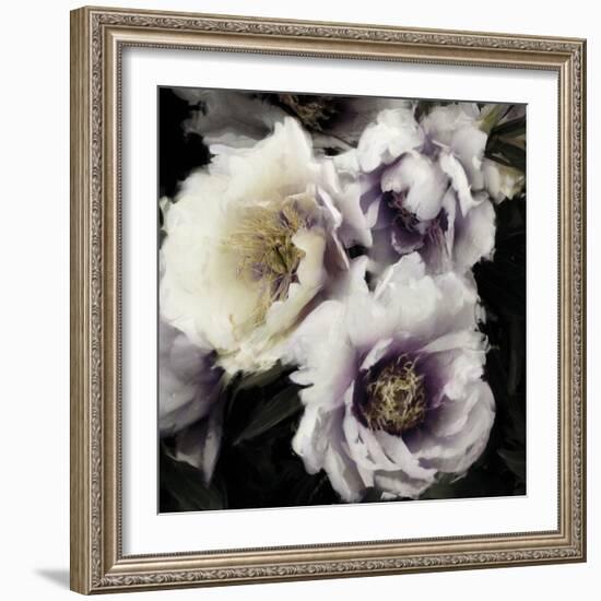 Twilight Shadows-Tania Bello-Framed Giclee Print