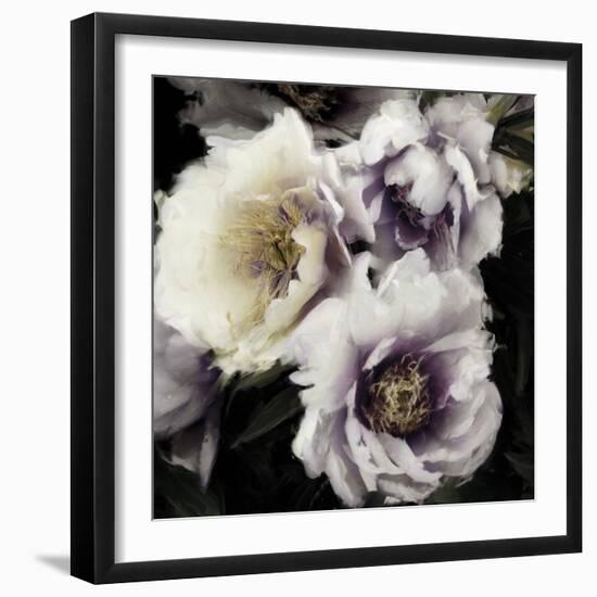 Twilight Shadows-Tania Bello-Framed Giclee Print