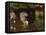 Twilight the Game of Croquet-Pierre Bonnard-Framed Premier Image Canvas