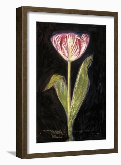 Twilight Tulip-Maret Hensick-Framed Art Print