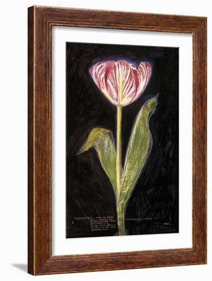 Twilight Tulip-Maret Hensick-Framed Art Print