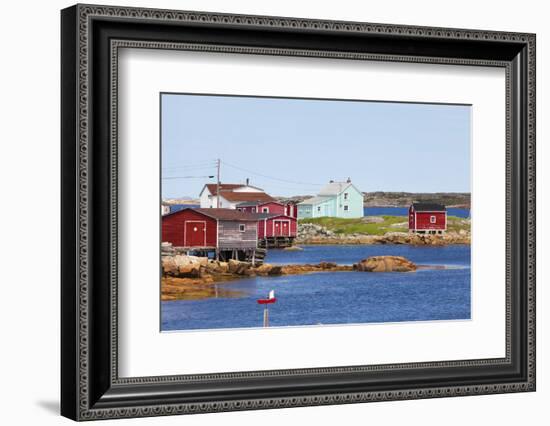 Twillingate, Newfoundland, Canada-Greg Johnston-Framed Photographic Print