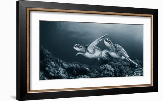 Twin dance-Andrey Narchuk-Framed Art Print