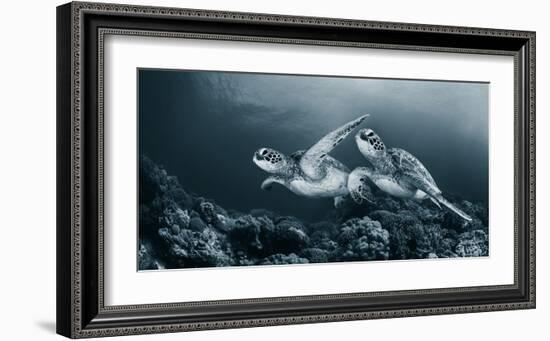 Twin dance-Andrey Narchuk-Framed Art Print