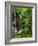 Twin Falls, Buffalo National River, Arkansas, USA-Charles Gurche-Framed Photographic Print