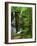 Twin Falls, Buffalo National River, Arkansas, USA-Charles Gurche-Framed Photographic Print