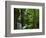 Twin Falls, Buffalo National River, Arkansas, USA-Charles Gurche-Framed Photographic Print