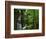 Twin Falls, Buffalo National River, Arkansas, USA-Charles Gurche-Framed Photographic Print