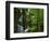 Twin Falls, Buffalo National River, Arkansas, USA-Charles Gurche-Framed Photographic Print