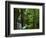 Twin Falls, Buffalo National River, Arkansas, USA-Charles Gurche-Framed Photographic Print