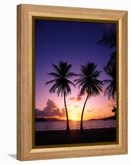 Twin Palms at Sunset-Bill Ross-Framed Premier Image Canvas