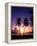 Twin Palms at Sunset-Bill Ross-Framed Premier Image Canvas