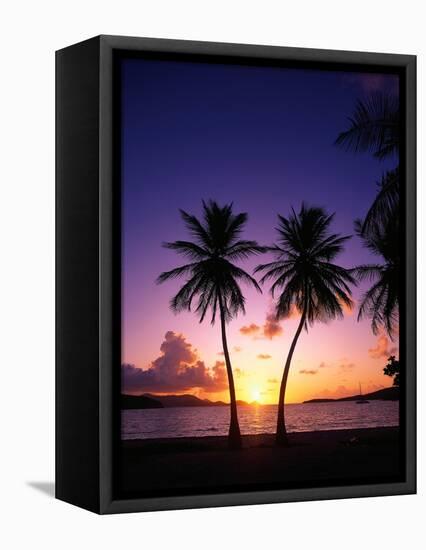 Twin Palms at Sunset-Bill Ross-Framed Premier Image Canvas