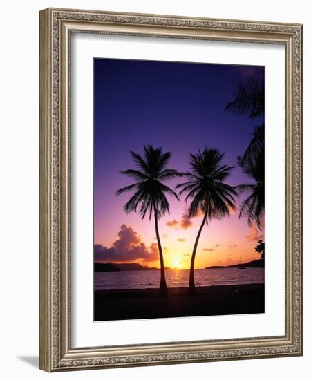 Twin Palms at Sunset-Bill Ross-Framed Photographic Print