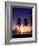 Twin Palms at Sunset-Bill Ross-Framed Photographic Print