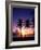 Twin Palms at Sunset-Bill Ross-Framed Photographic Print