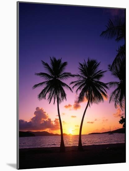 Twin Palms at Sunset-Bill Ross-Mounted Photographic Print