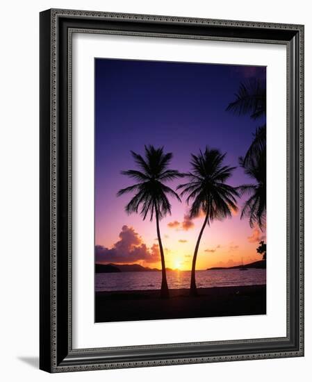 Twin Palms at Sunset-Bill Ross-Framed Photographic Print