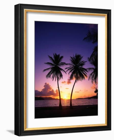 Twin Palms at Sunset-Bill Ross-Framed Photographic Print