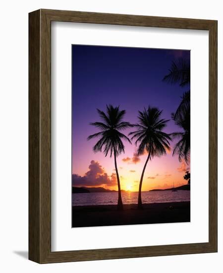 Twin Palms at Sunset-Bill Ross-Framed Photographic Print