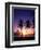 Twin Palms at Sunset-Bill Ross-Framed Photographic Print