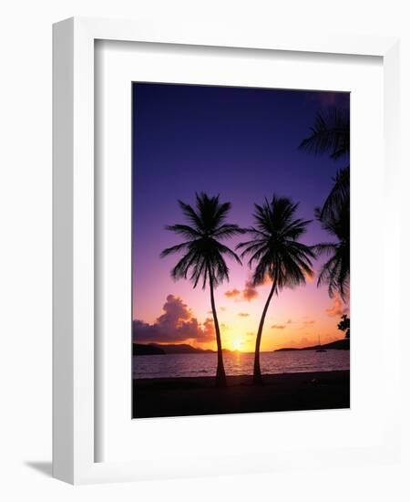 Twin Palms at Sunset-Bill Ross-Framed Photographic Print