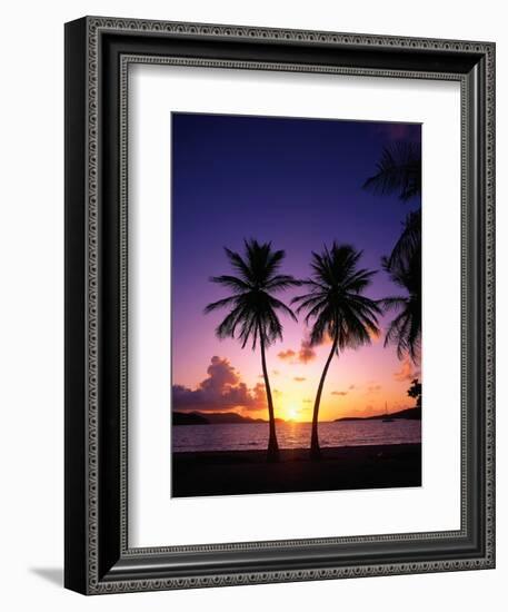 Twin Palms at Sunset-Bill Ross-Framed Photographic Print