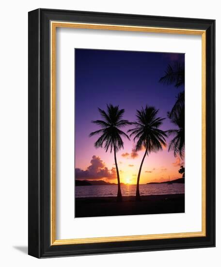 Twin Palms at Sunset-Bill Ross-Framed Photographic Print