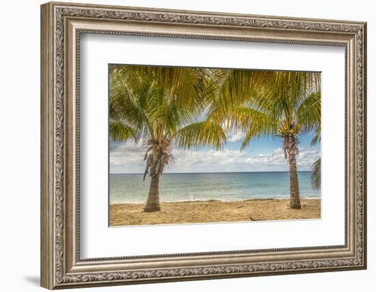 Twin Palms-Mary Lou Johnson-Framed Art Print