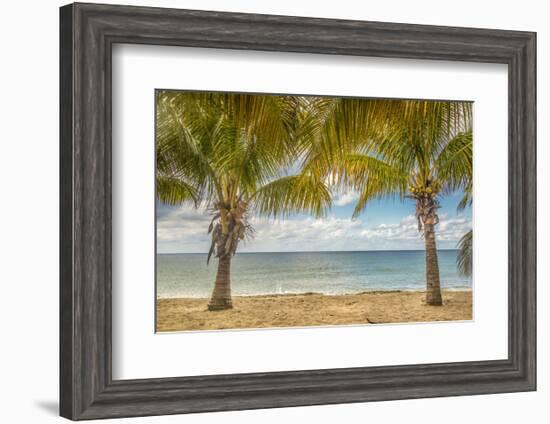 Twin Palms-Mary Lou Johnson-Framed Art Print